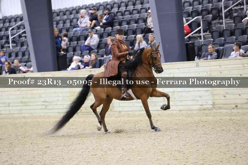 Proof 23R13_05005