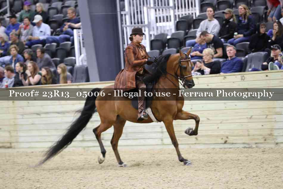Proof 23R13_05006