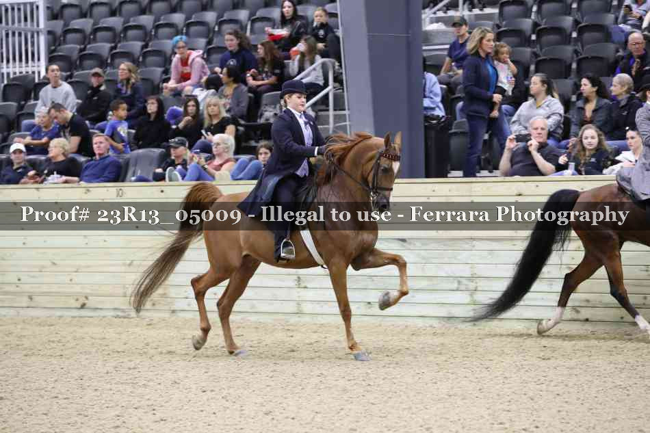 Proof 23R13_05009