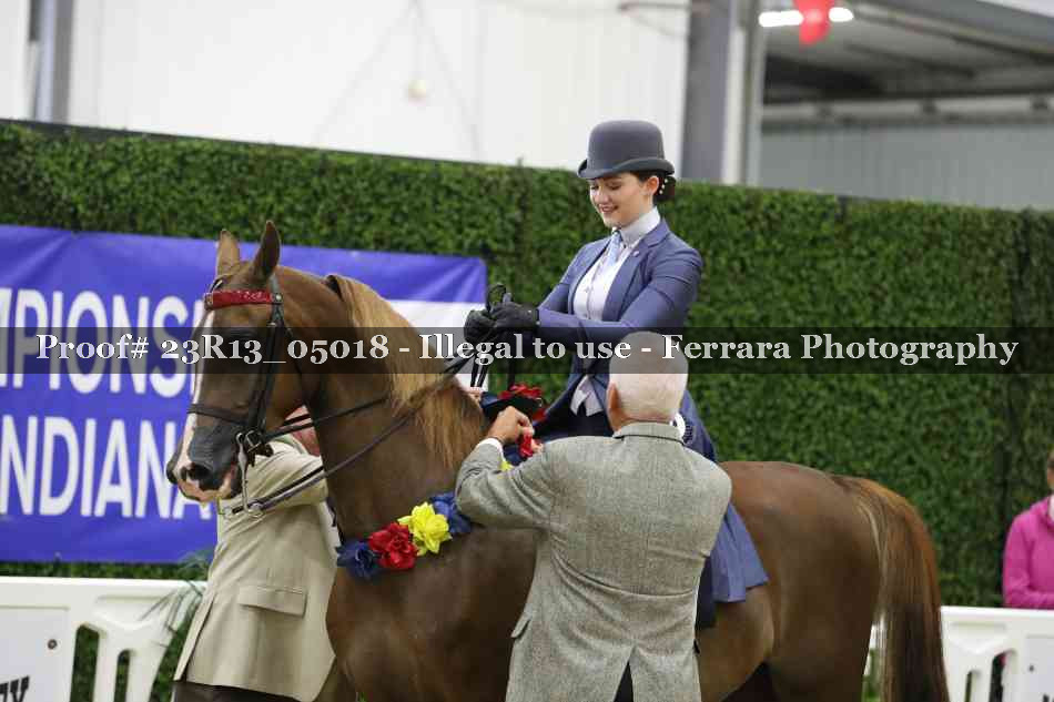 Proof 23R13_05018