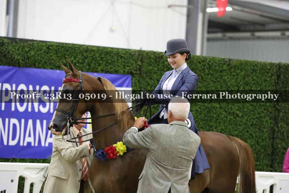 Proof 23R13_05019