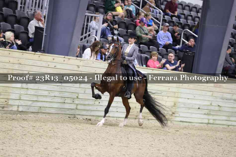 Proof 23R13_05024