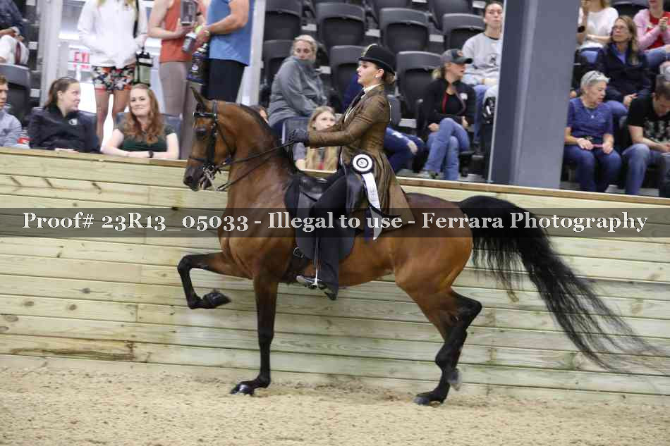 Proof 23R13_05033