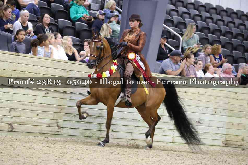 Proof 23R13_05040