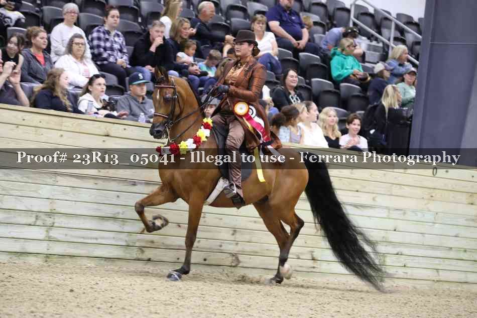 Proof 23R13_05041