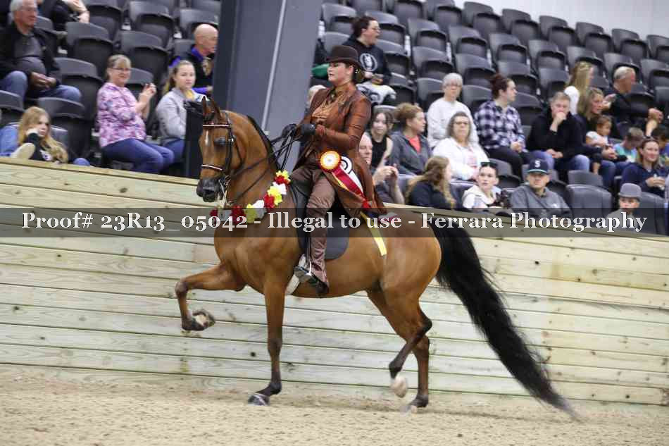 Proof 23R13_05042