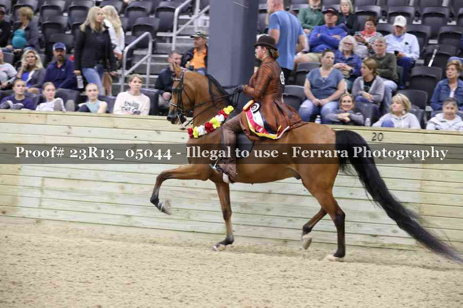 Proof 23R13_05044