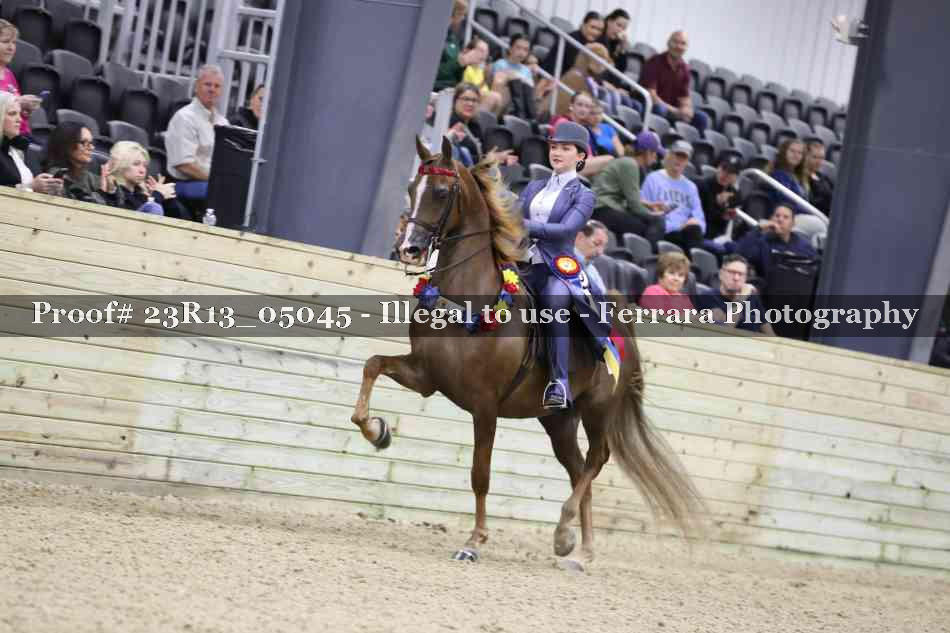 Proof 23R13_05045