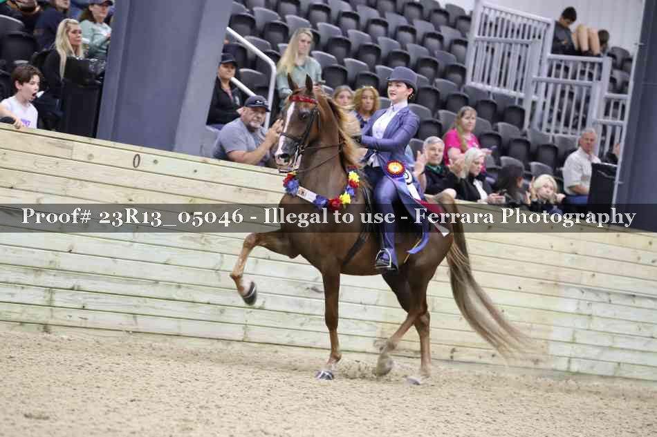 Proof 23R13_05046