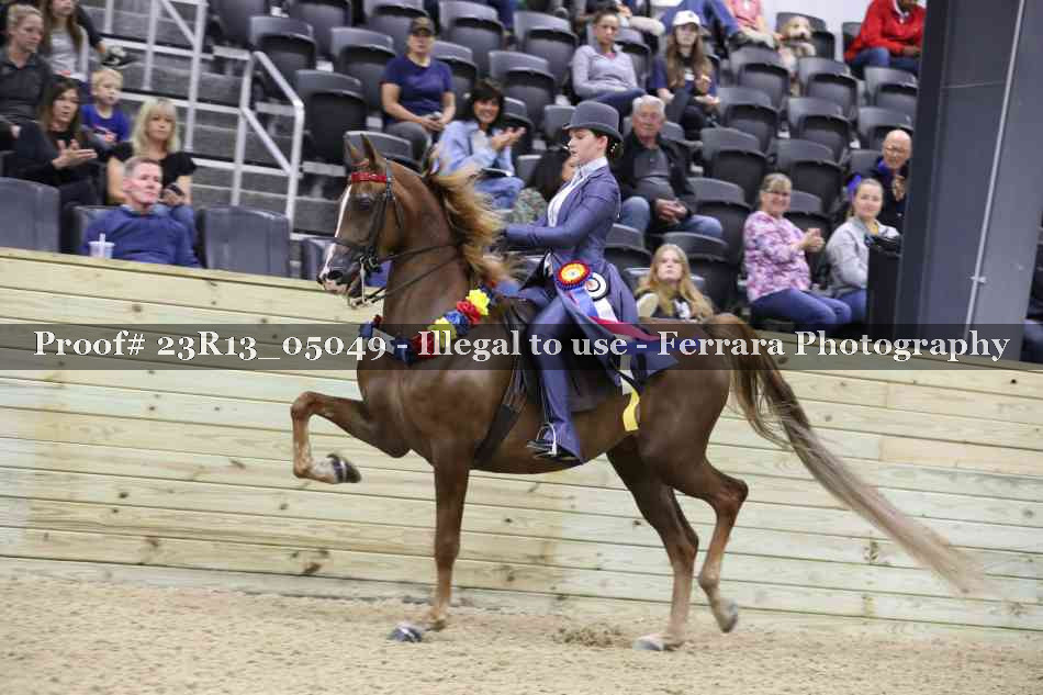 Proof 23R13_05049