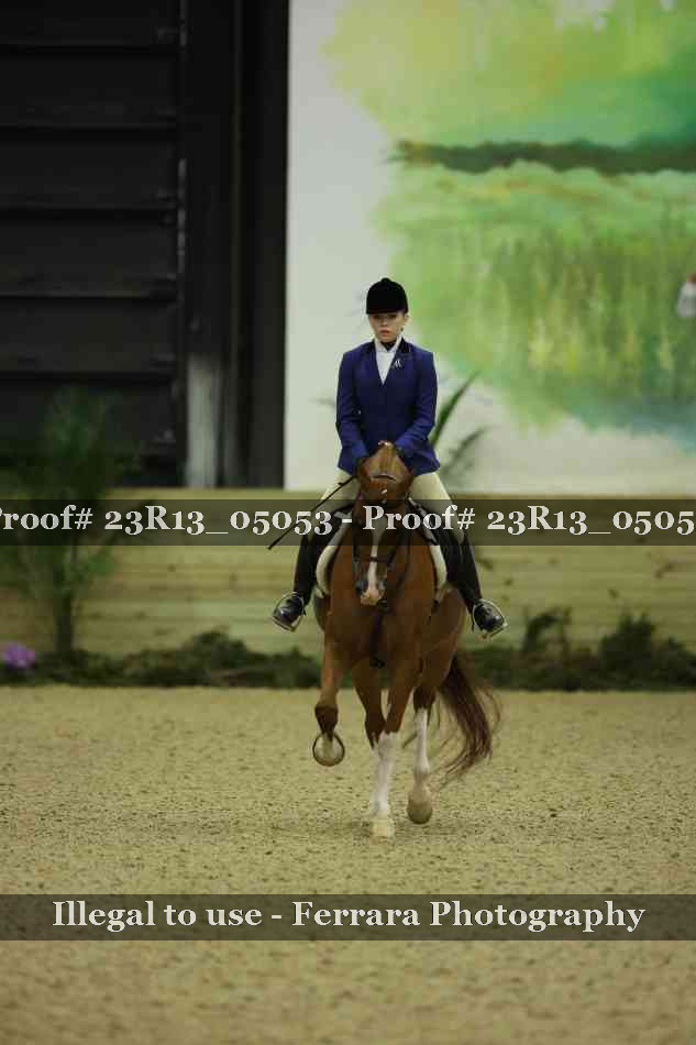 Proof 23R13_05053
