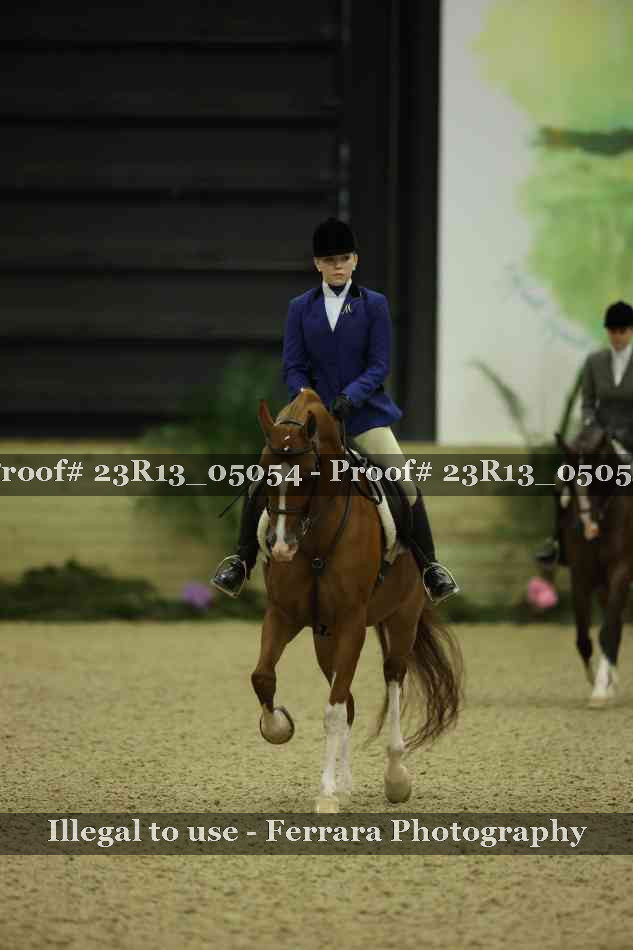 Proof 23R13_05054