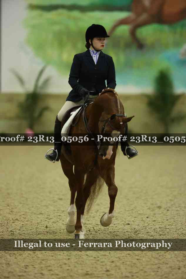 Proof 23R13_05056