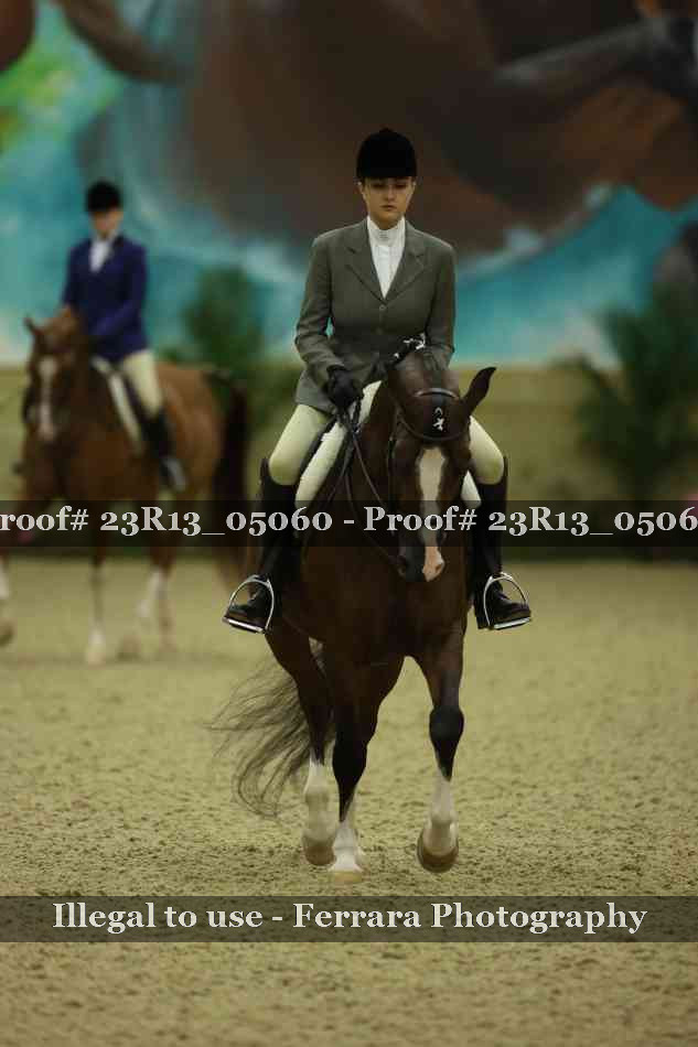 Proof 23R13_05060