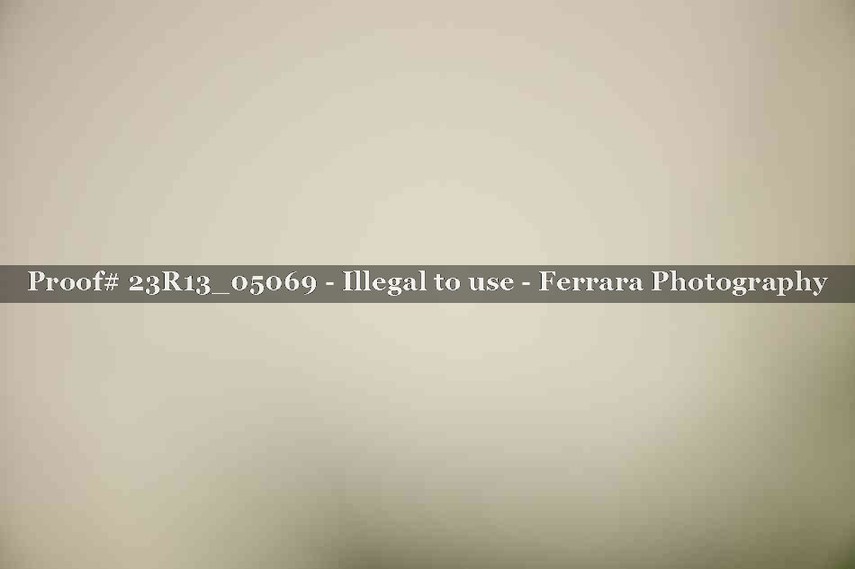 Proof 23R13_05069