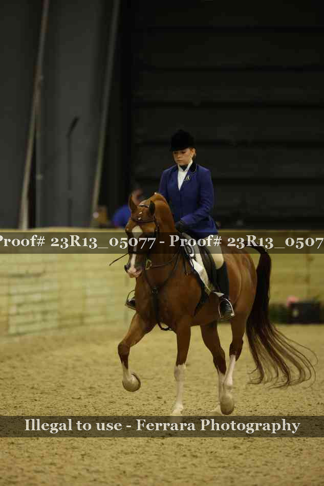 Proof 23R13_05077