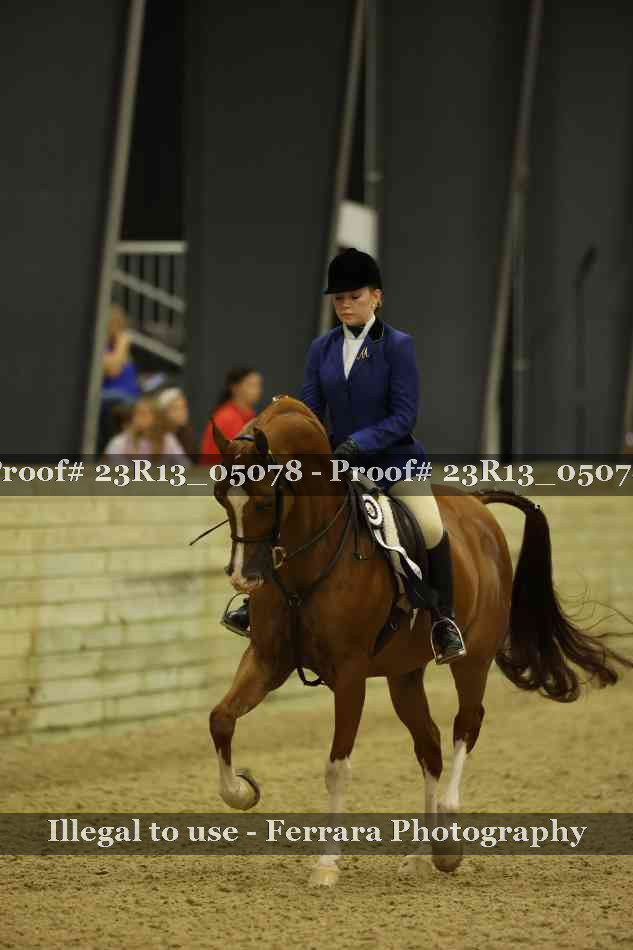 Proof 23R13_05078