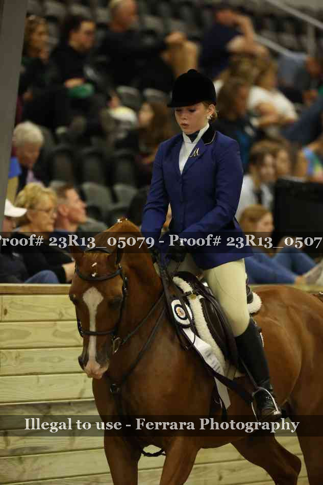 Proof 23R13_05079