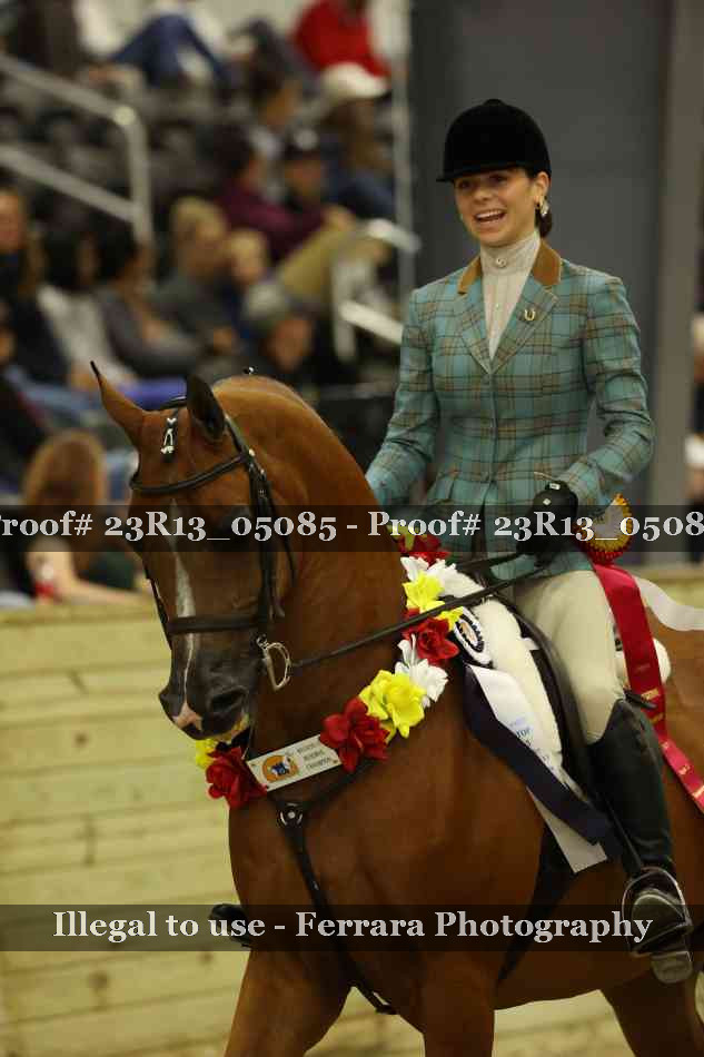 Proof 23R13_05085