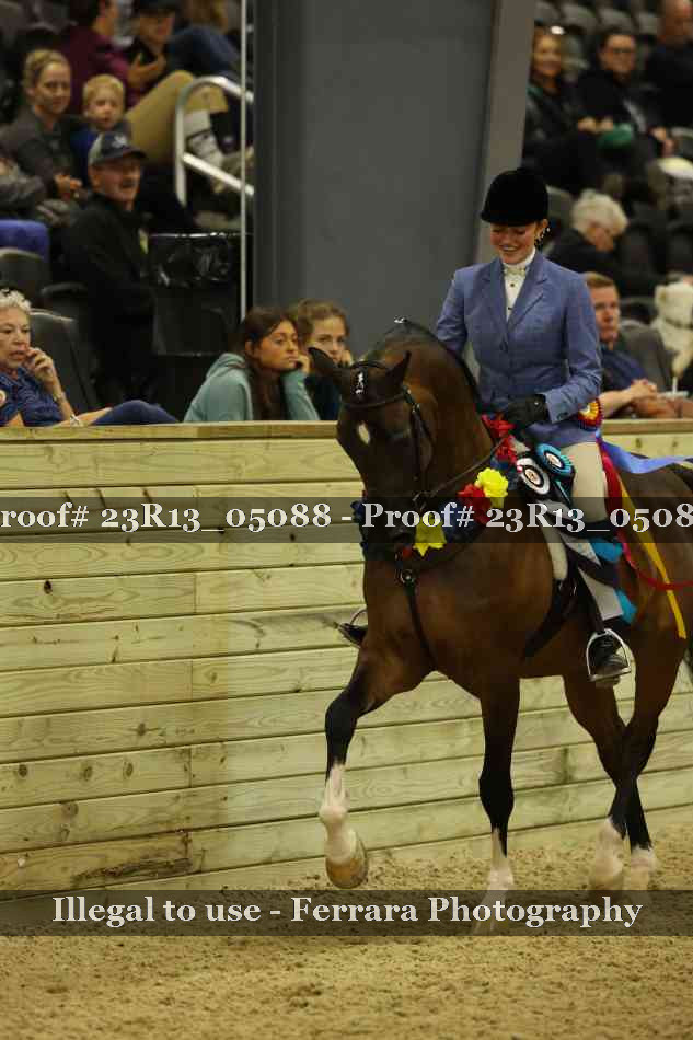Proof 23R13_05088