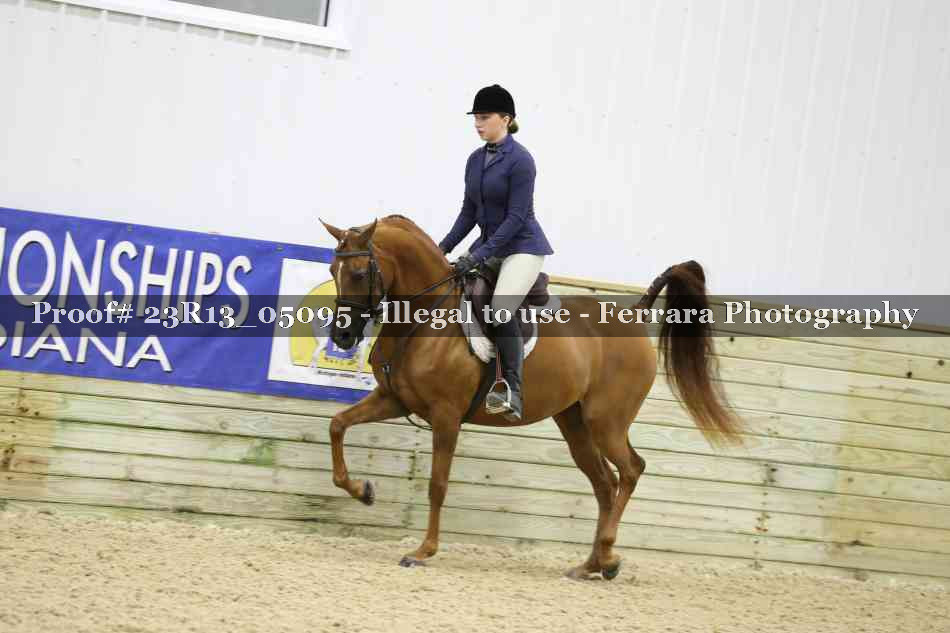 Proof 23R13_05095