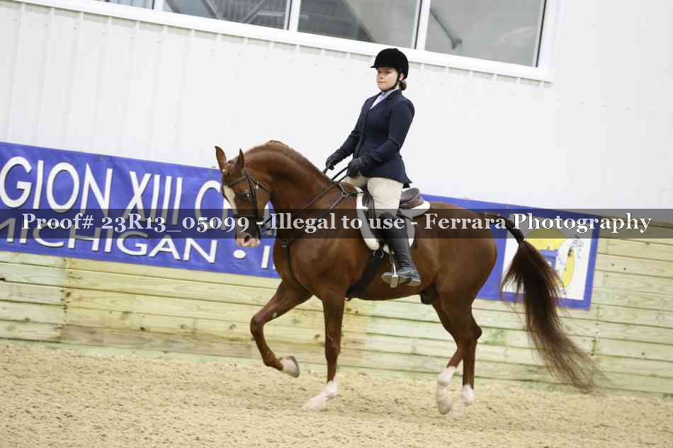 Proof 23R13_05099