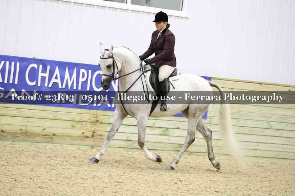 Proof 23R13_05101