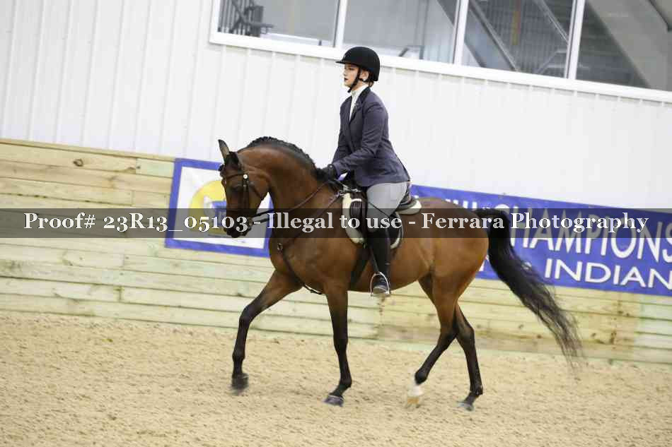 Proof 23R13_05103