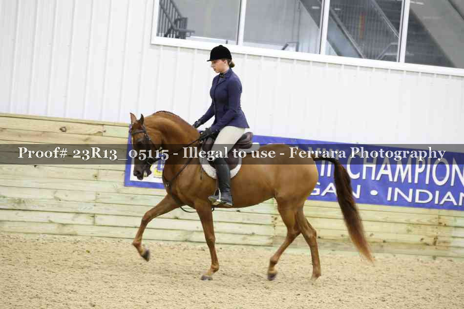Proof 23R13_05115