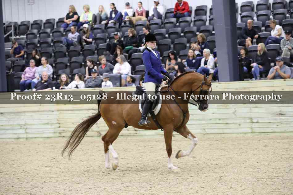 Proof 23R13_05128