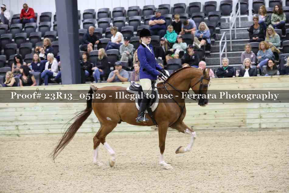 Proof 23R13_05129