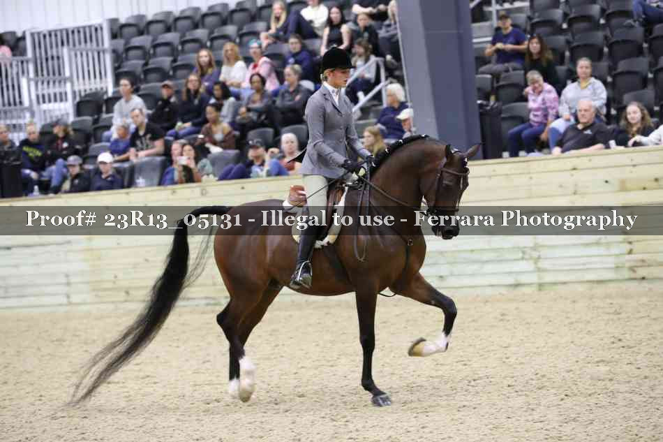Proof 23R13_05131
