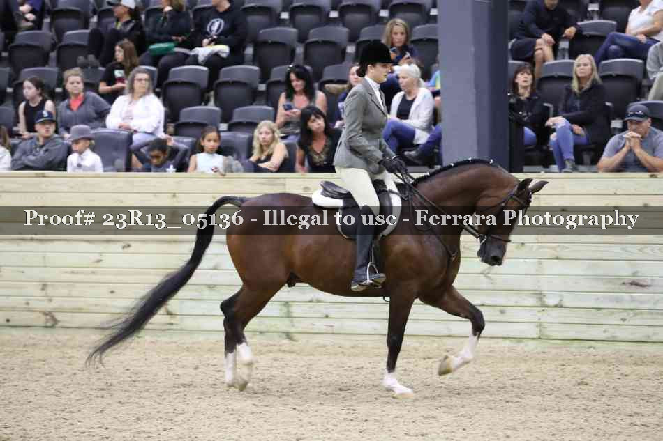 Proof 23R13_05136