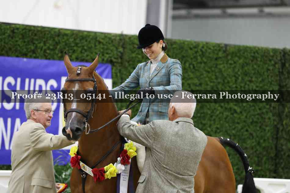 Proof 23R13_05141