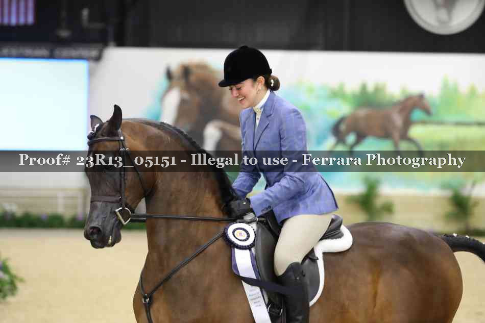 Proof 23R13_05151