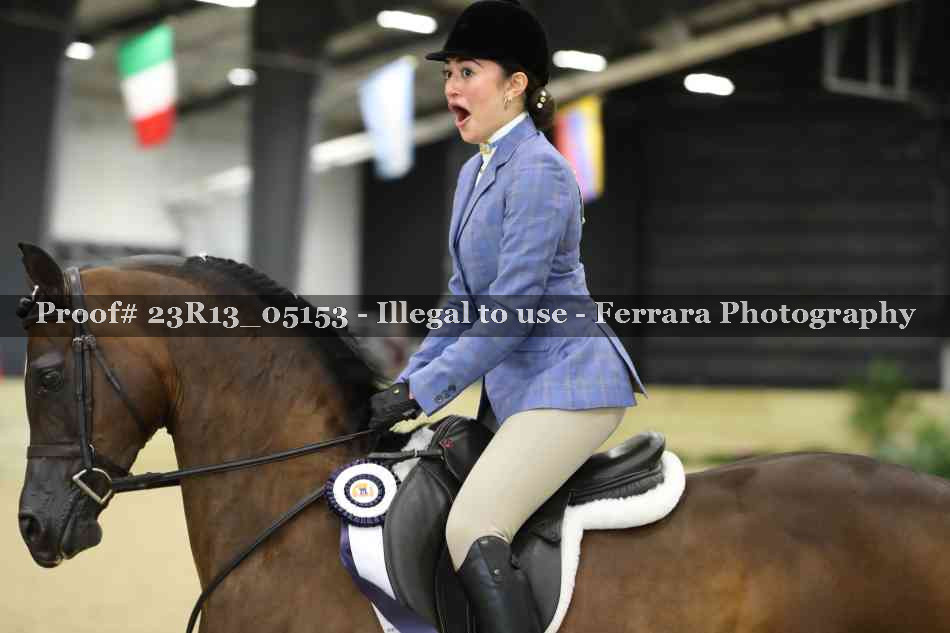 Proof 23R13_05153