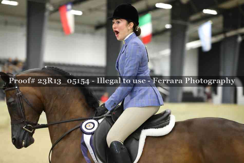 Proof 23R13_05154