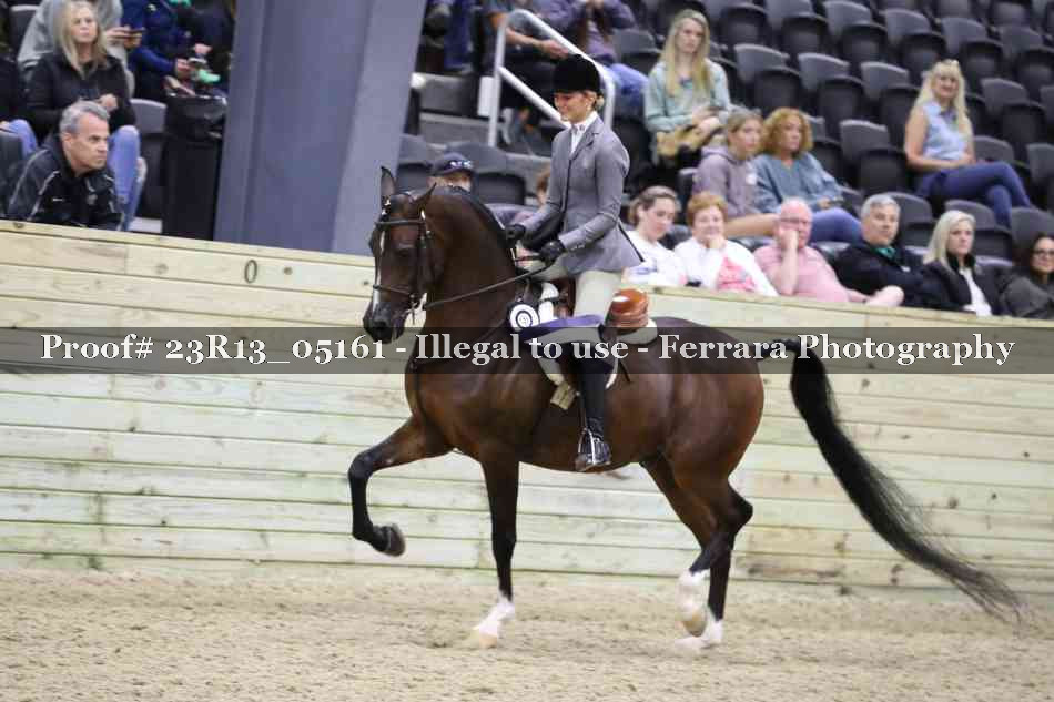 Proof 23R13_05161