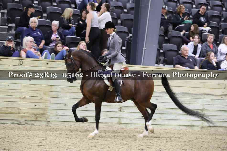 Proof 23R13_05162