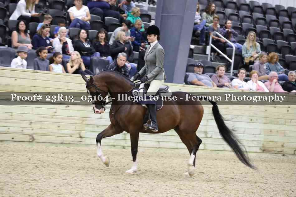 Proof 23R13_05164