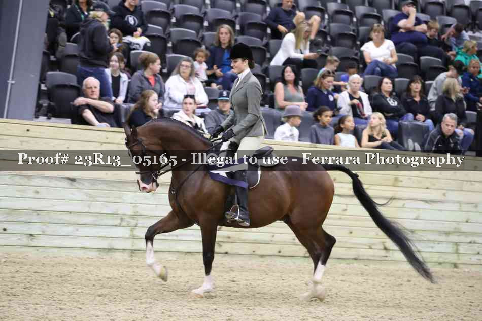Proof 23R13_05165