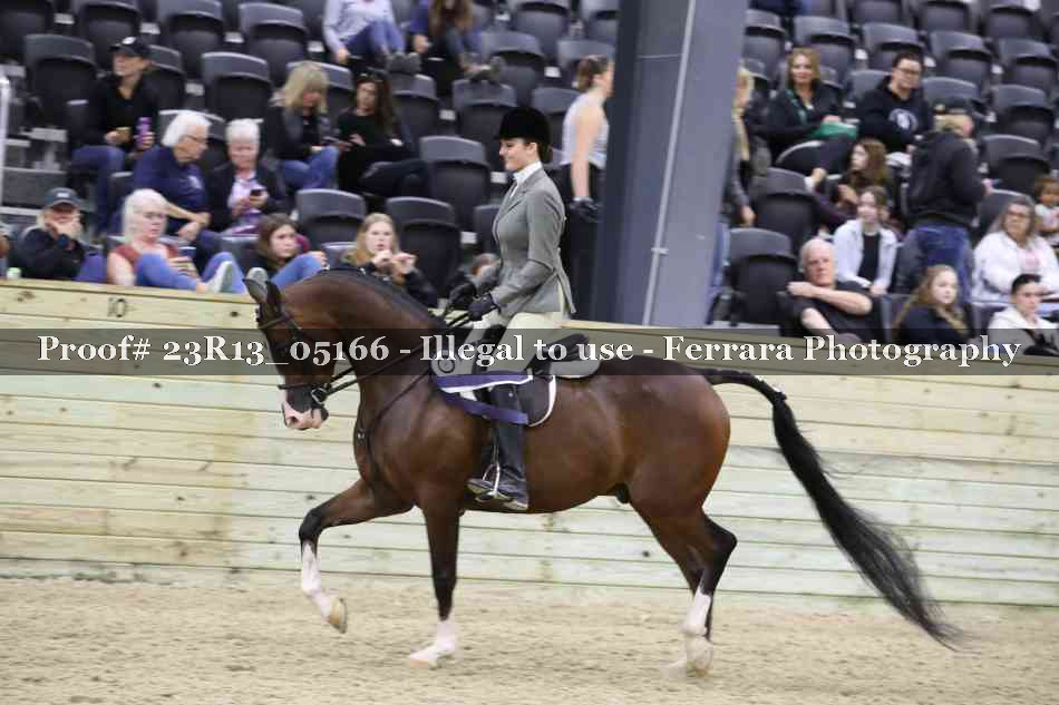 Proof 23R13_05166