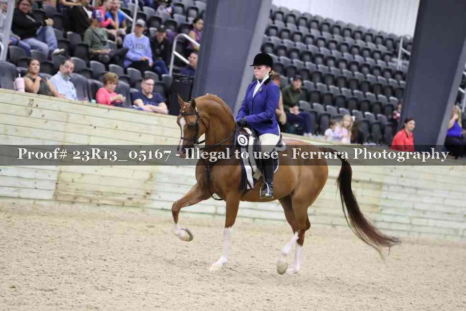 Proof 23R13_05167