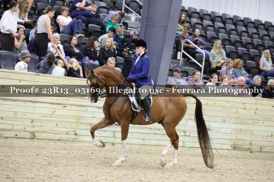 Proof 23R13_05169