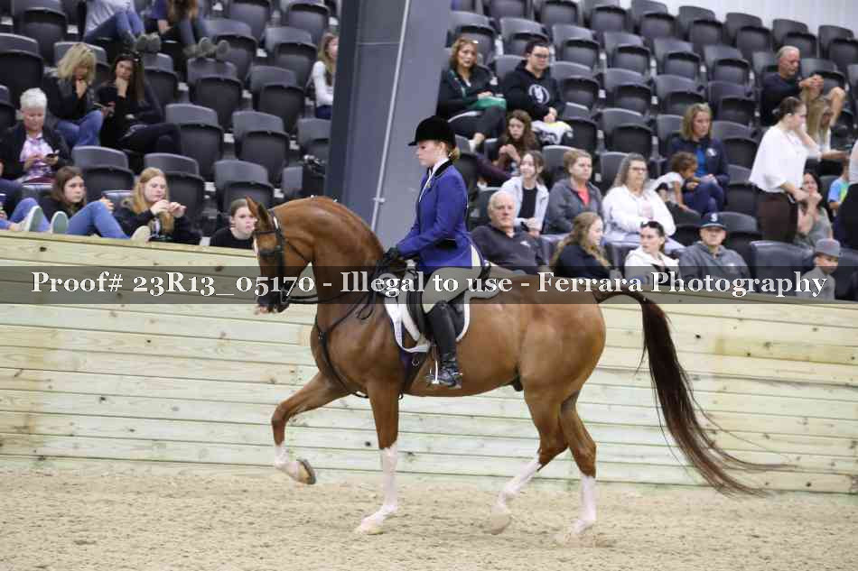 Proof 23R13_05170