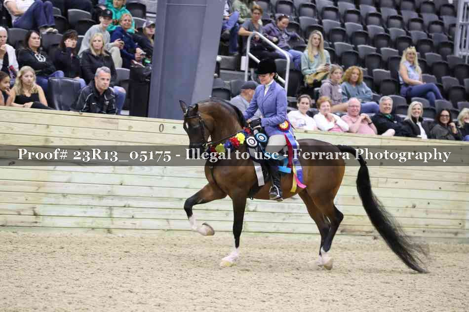 Proof 23R13_05175