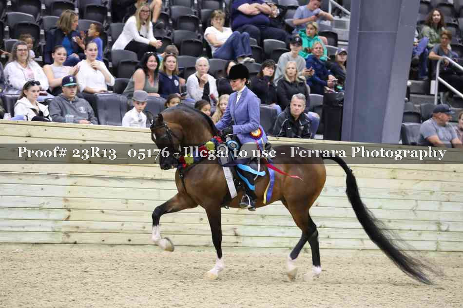 Proof 23R13_05176