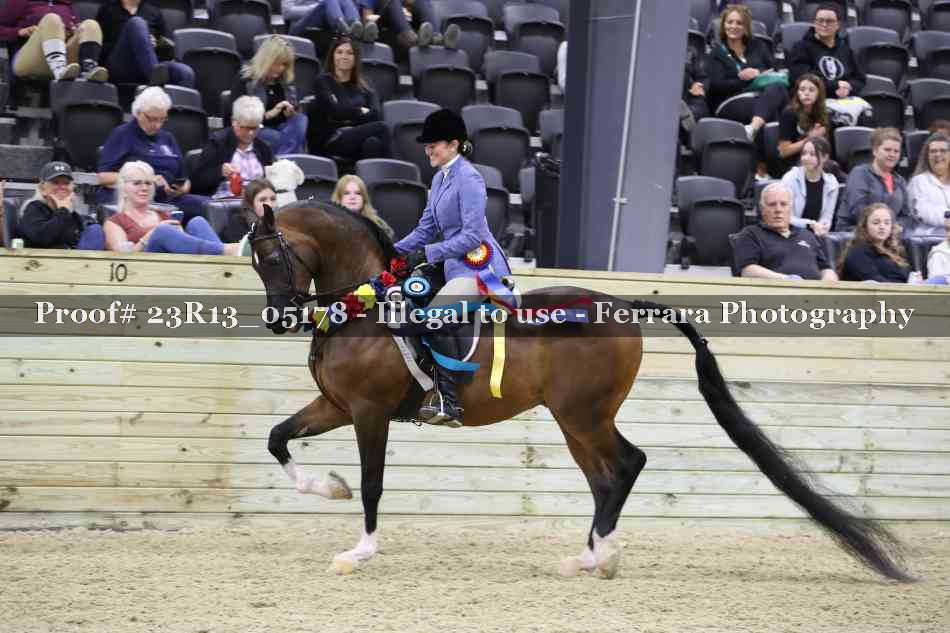Proof 23R13_05178