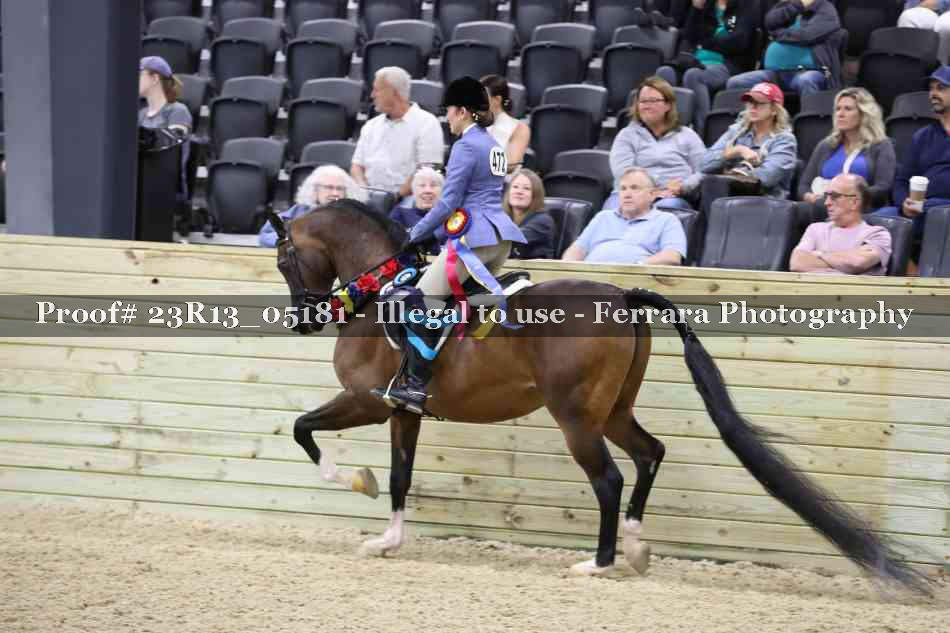 Proof 23R13_05181