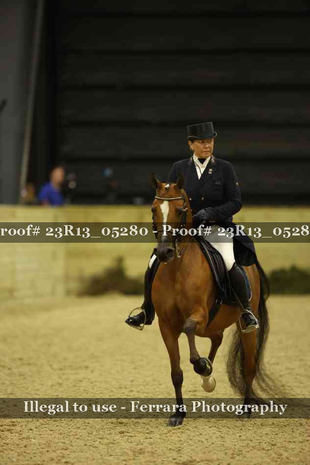 Proof 23R13_05280